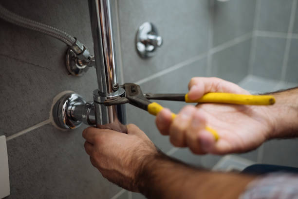 Best Toilet Repair Services  in Springville, AL